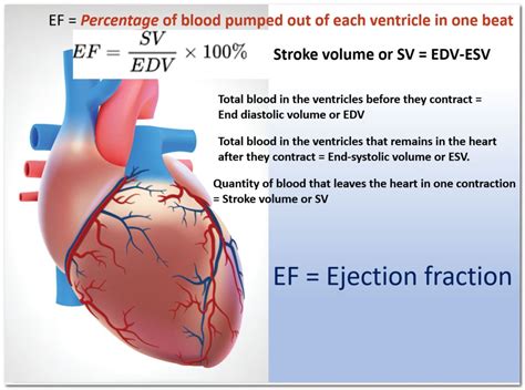 left ventricular ejection fraction diagnosis